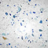 Terrazzo alla veneziana – Massetti in vista